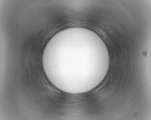 X0000094350429200711021318