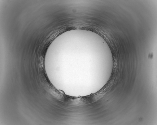X0000094350430200711021318