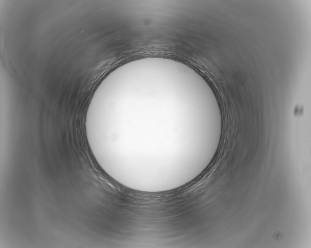 X0000094350432200711021318
