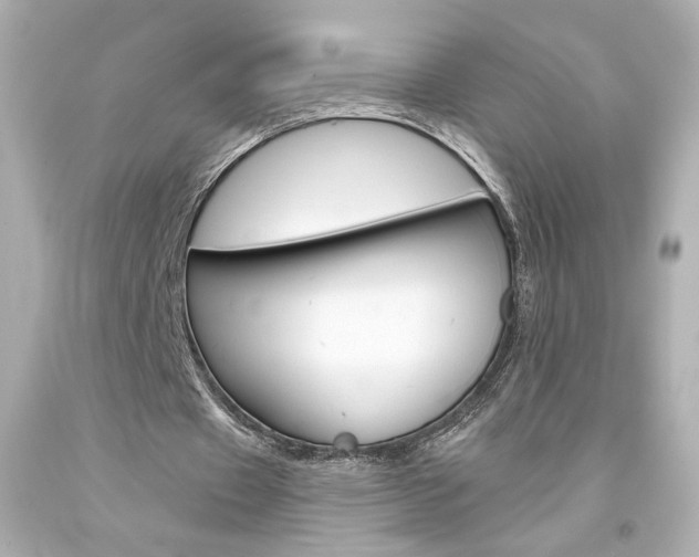 X0000094350433200711021317