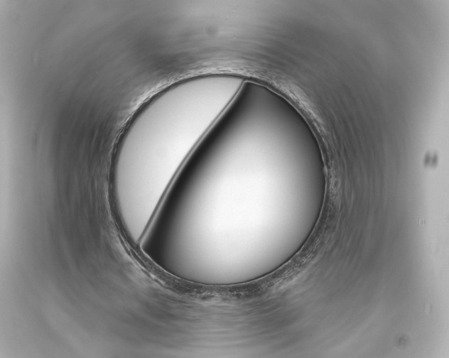 X0000094350434200711021317