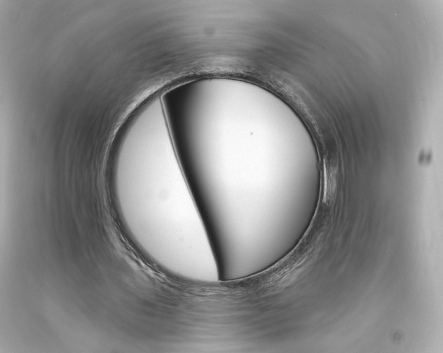 X0000094350435200711021317
