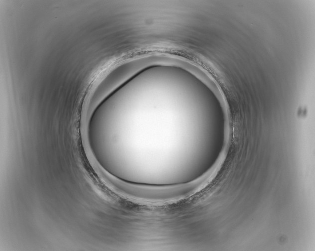 X0000094350436200711021317