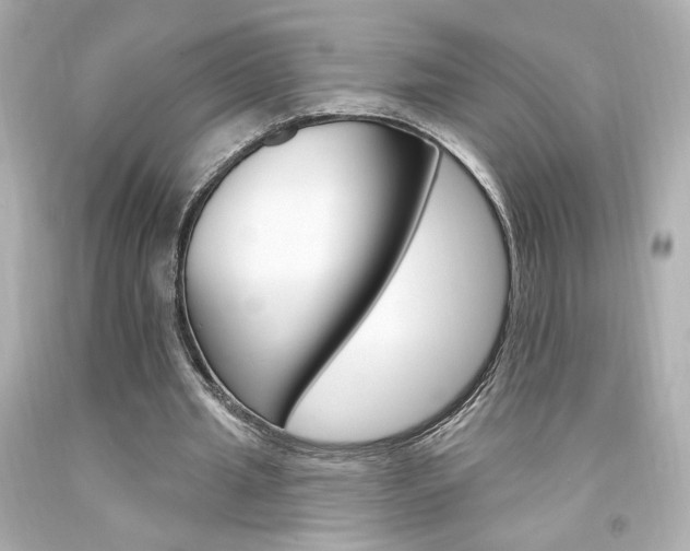 X0000094350437200711021317