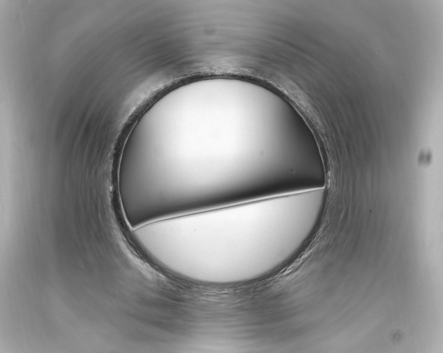 X0000094350438200711021317