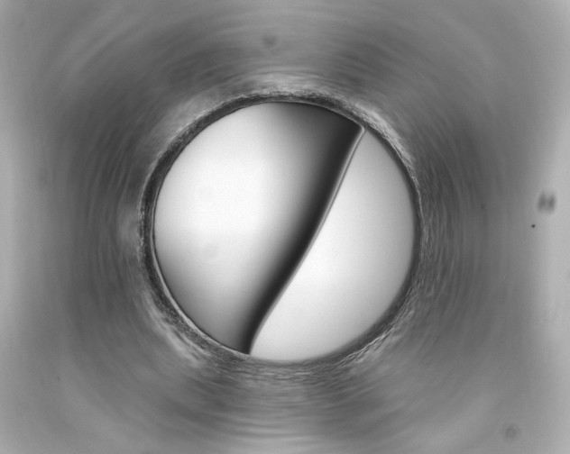 X0000094350439200711021317