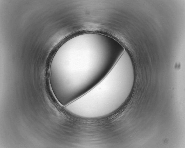 X0000094350440200711021317