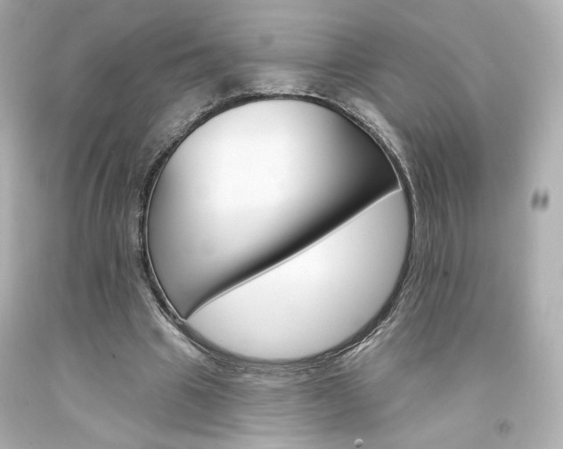 X0000094350441200711021317