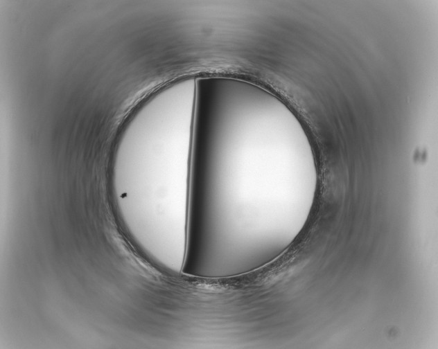 X0000094350442200711021317