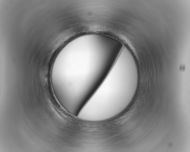 X0000094350443200711021317