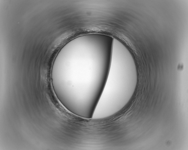X0000094350444200711021317