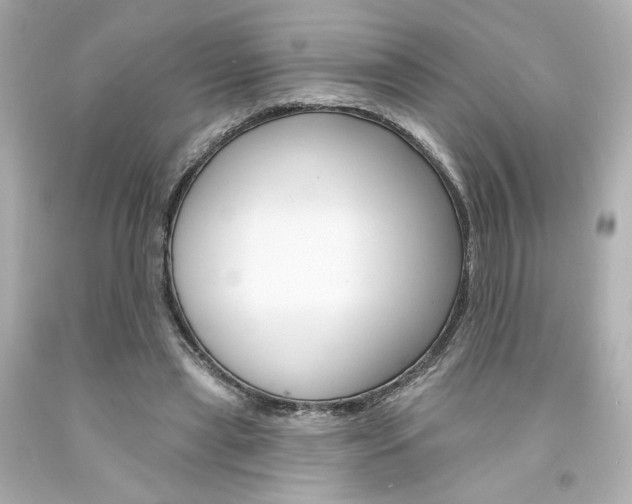 X0000094350445200711021317