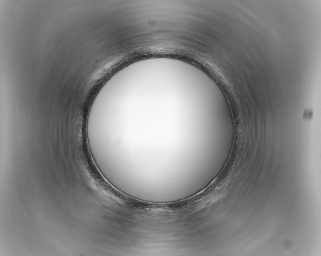 X0000094350446200711021317