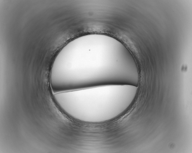X0000094350449200711021317