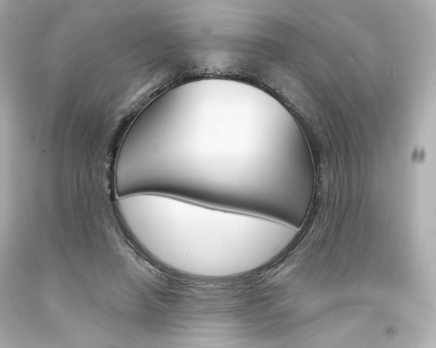 X0000094350450200711021317