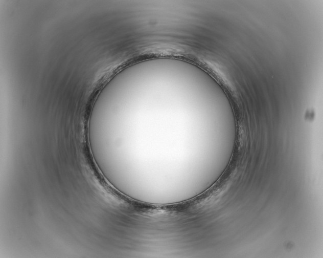 X0000094350453200711021317