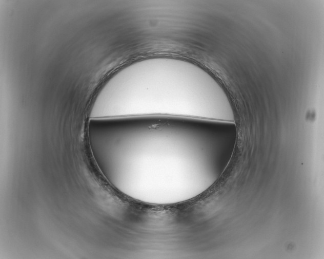 X0000094350454200711021317