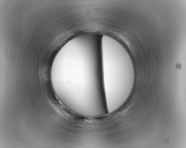 X0000094350455200711021317