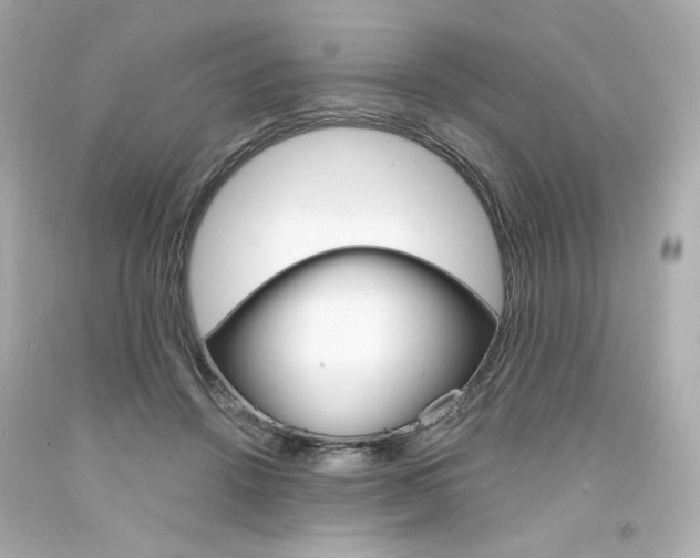 X0000094350456200711021317