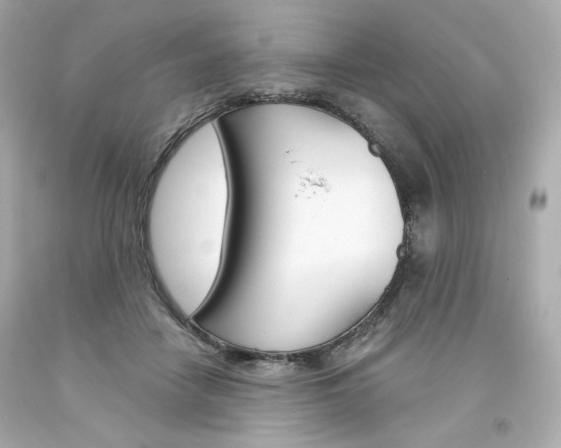 X0000094350458200711021317
