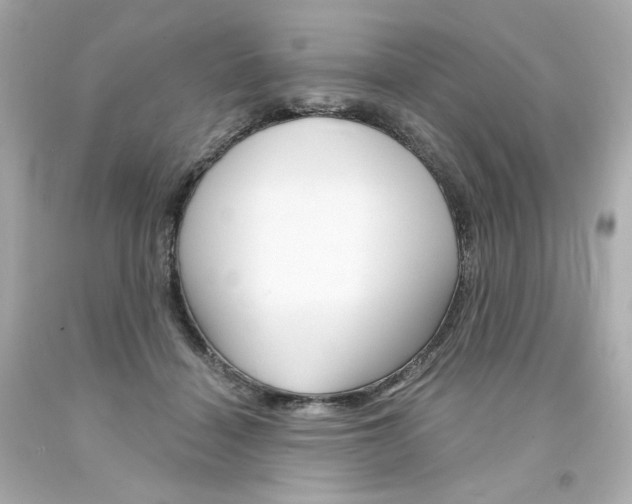 X0000094350460200711021317