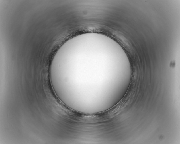 X0000094350461200711021317