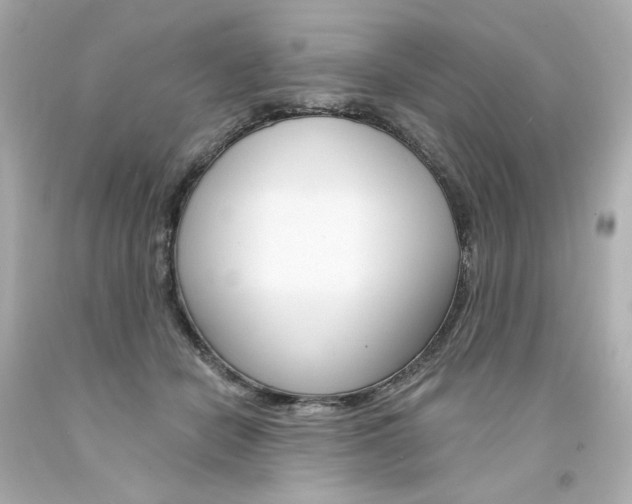 X0000094350462200711021317