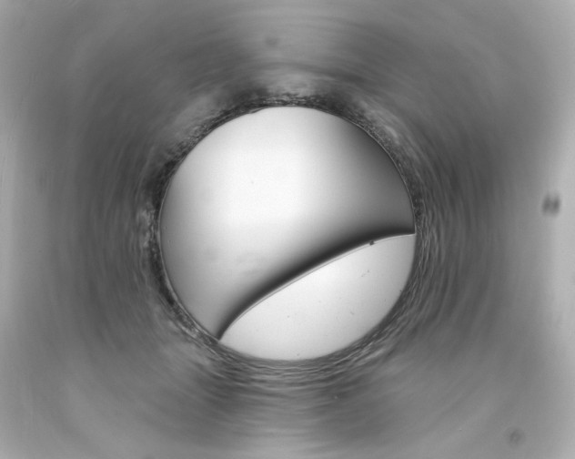 X0000094350463200711021317