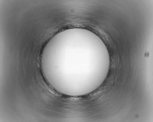 X0000094350465200711021317
