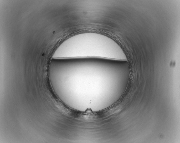 X0000094350466200711021317