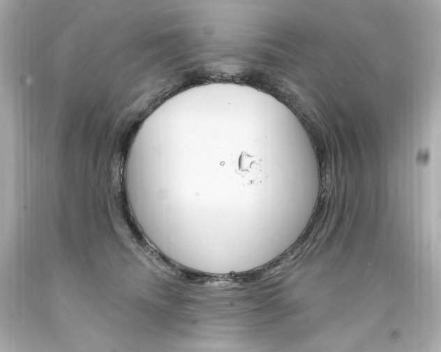 X0000094350468200711021317