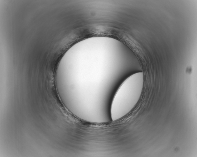 X0000094350469200711021317