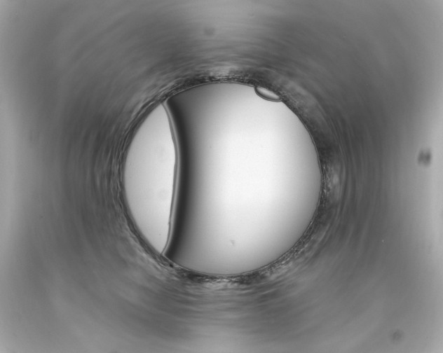 X0000094350470200711021317