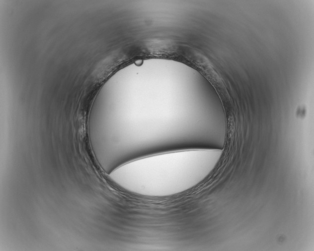 X0000094350471200711021317