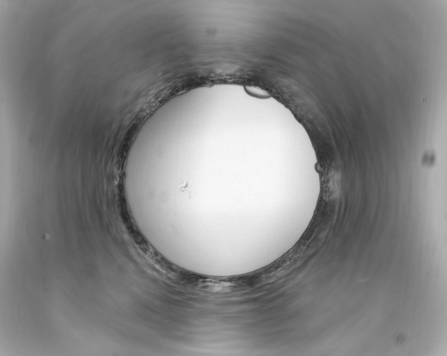 X0000094350472200711021317