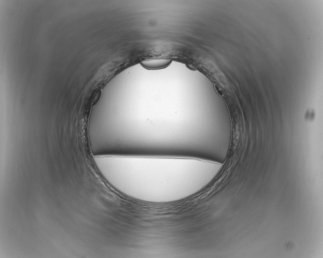 X0000094350473200711021317