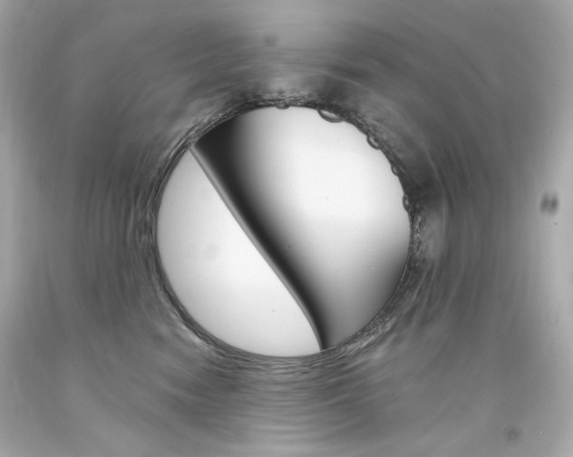 X0000094350474200711021317