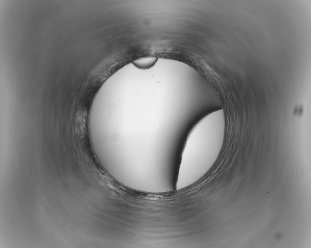 X0000094350475200711021317