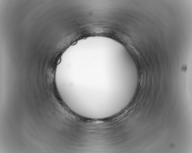 X0000094350476200711021317