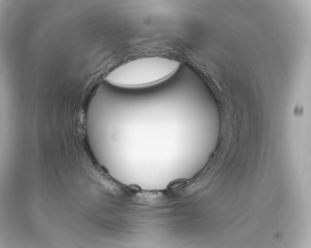 X0000094350480200711021317
