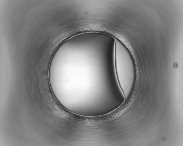 X0000094350481200711021317