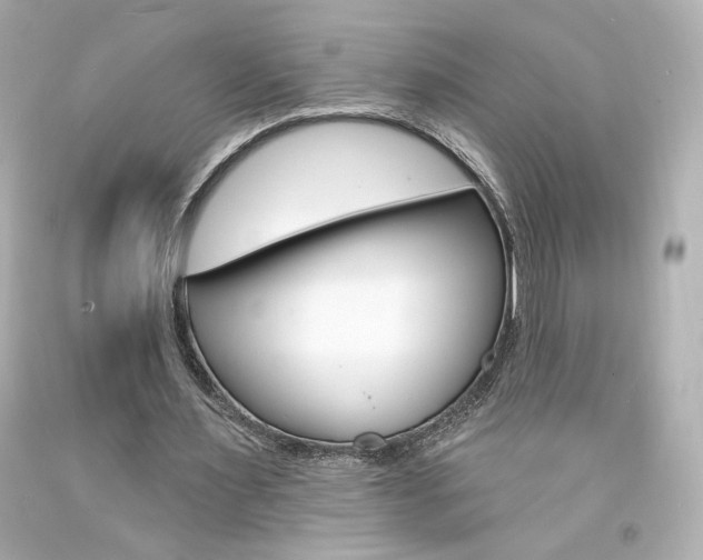 X0000094350483200711021317