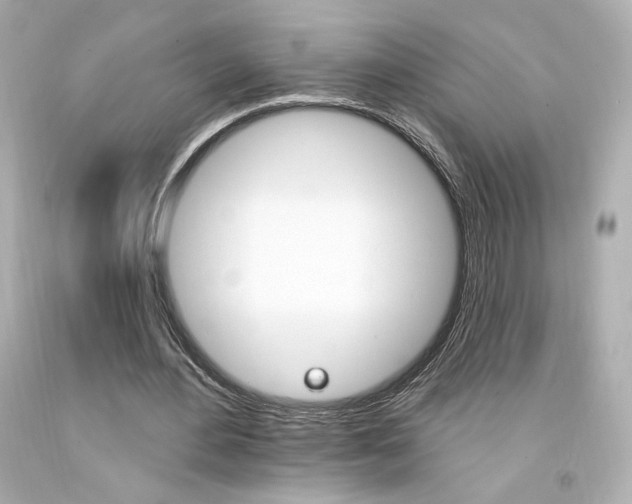 X0000094350484200711021317