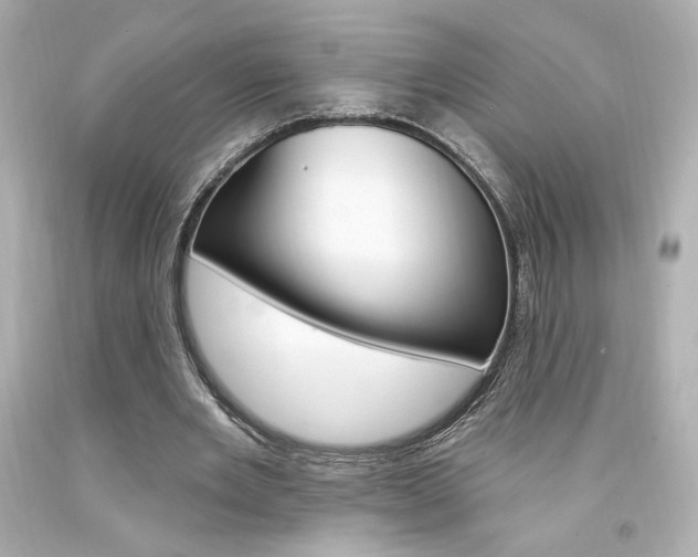 X0000094350485200711021317
