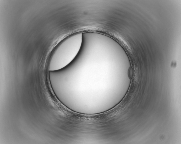 X0000094350486200711021317