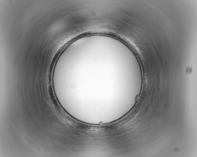 X0000094350487200711021317