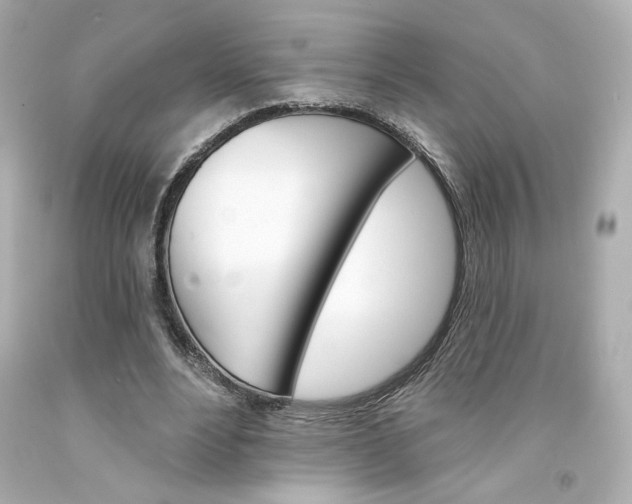 X0000094350488200711021317