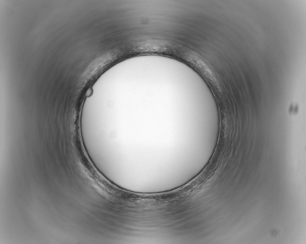X0000094350490200711021317