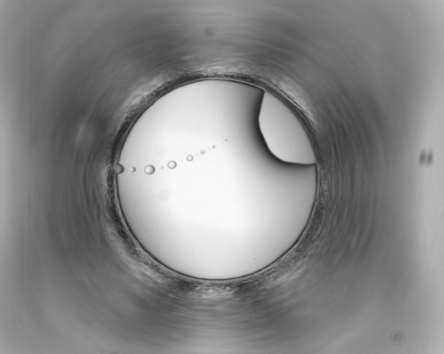 X0000094350491200711021317