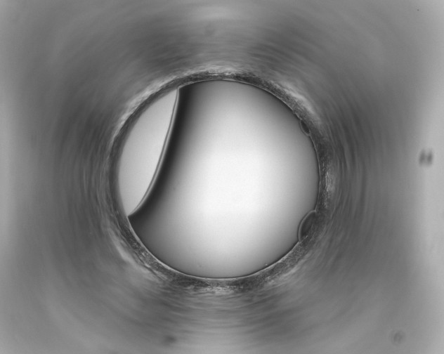 X0000094350492200711021317